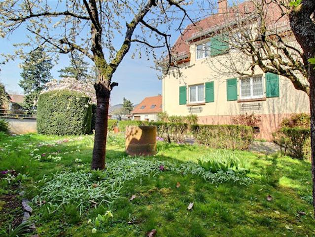 Maison vente à Sélestat-Erstein, Barr