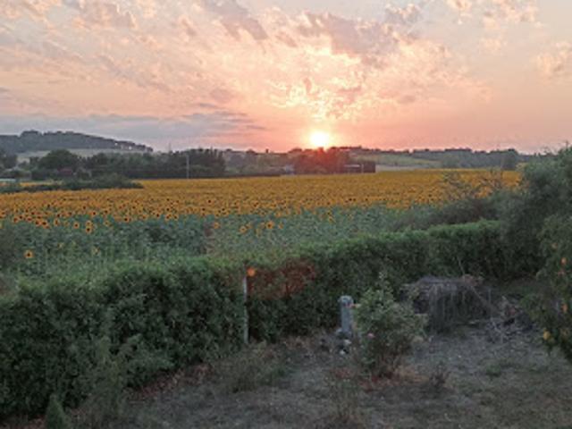 Maison vente à Limoux, Routier