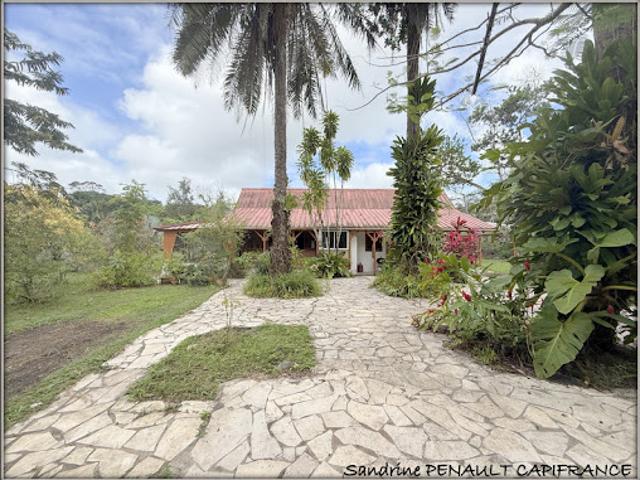 Maison vente à Guyane
