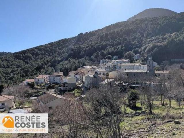 Maison vente à Corte, Rospigliani