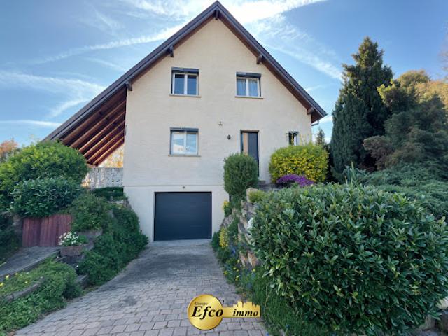 Maison vente à Mulhouse, Saint-louis