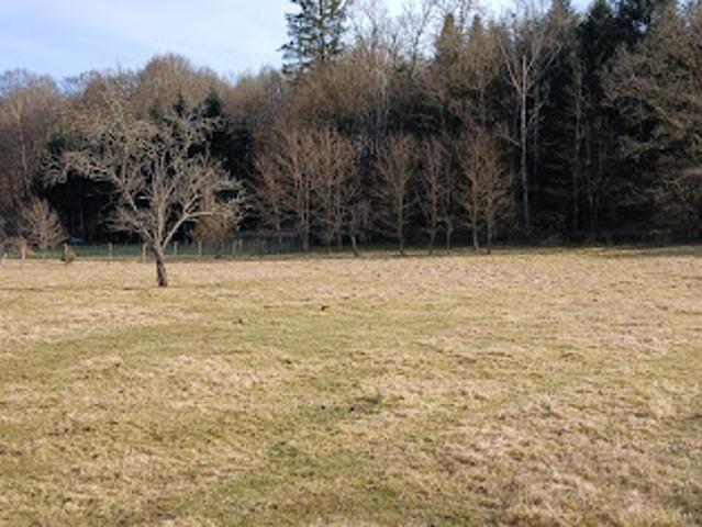 Maison vente à Lure, Mélisey