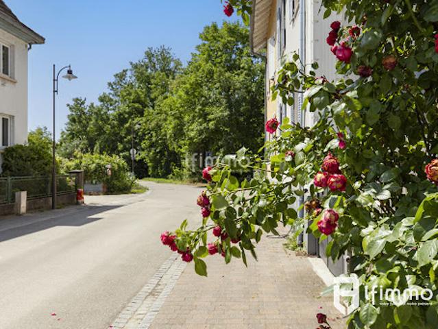 Maison vente à France métropolitaine, Hoenheim