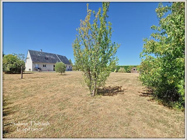 Maison vente à Chinon, Souvigné