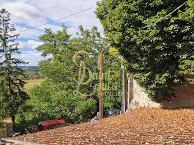 Maison vente à Les Baux de Longs, Chinon