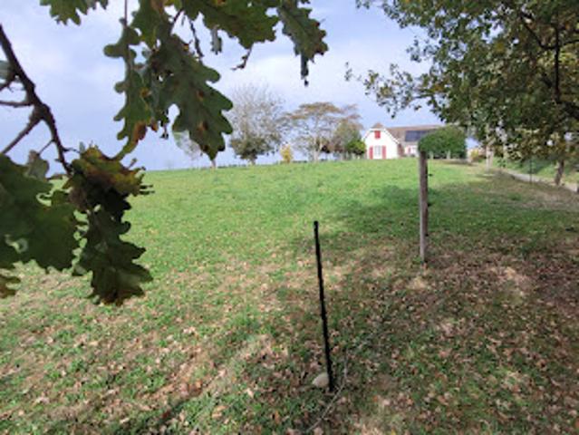 Maison vente à Pau, Vignes