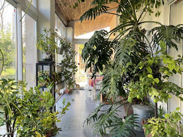 Maison vente à Lodève, Gignac