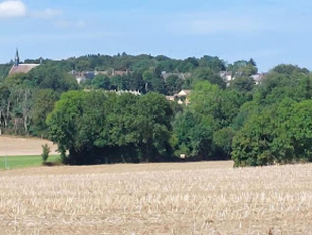 Maison vente à L'Osier, Soligny-la-Trappe