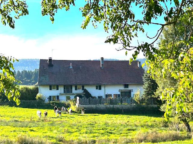 Maison vente à Saint-Claude, Grande-rivière