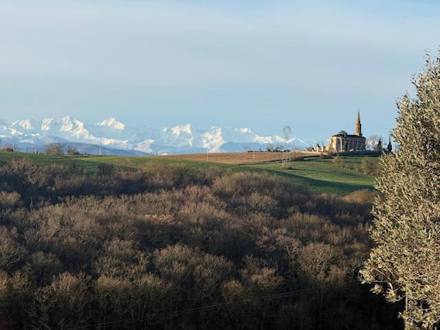 Maison vente à Muret, Gaillac-toulza