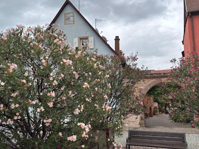 Maison vente à Colmar-Ribeauvillé, Turckheim