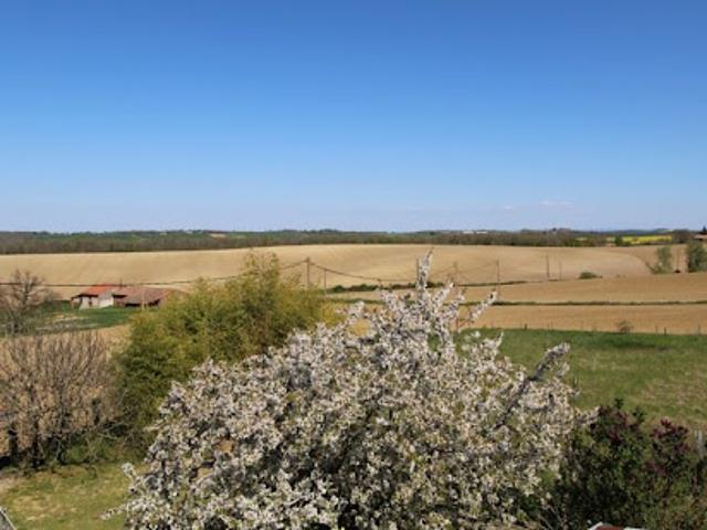 Maison vente à Toulouse, Azas