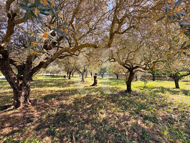 Ferme vente à Carpentras, Pernes-les-fontaines
