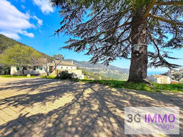 Maison vente à Bastia