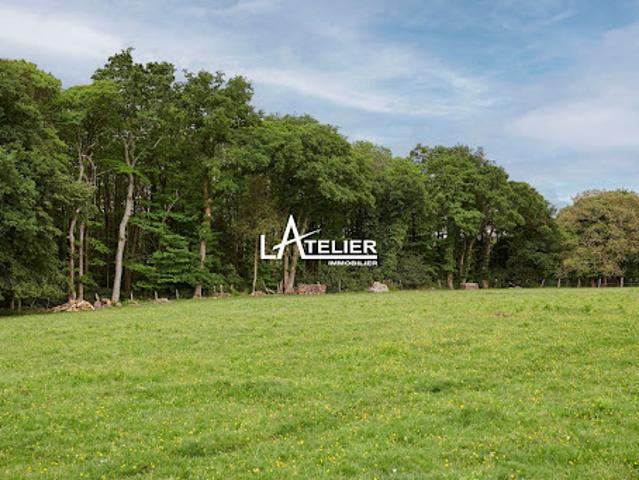Maison vente à La Chironnerie, Vigneux-de-Bretagne