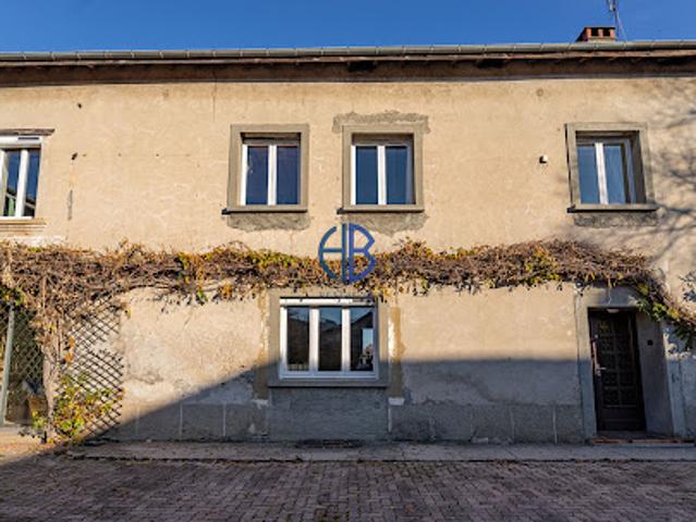 Maison vente à Vienne, Saint-etienne-de-saint-geoirs