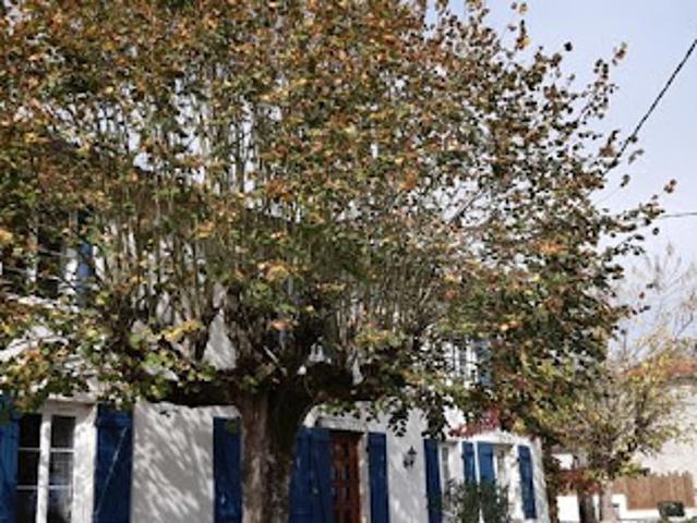 Maison vente à Vianne, Latrape