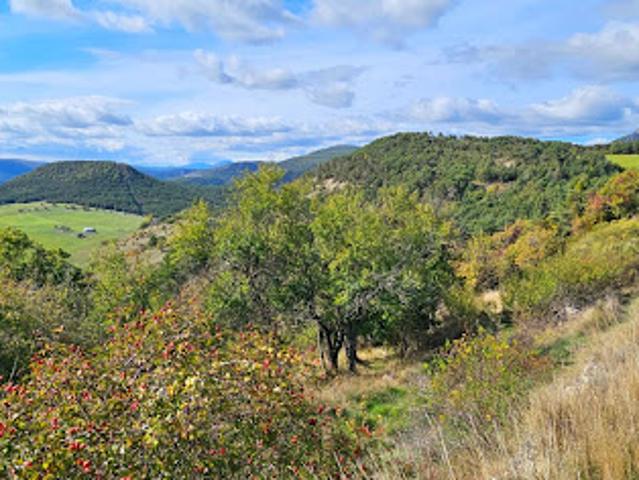 Maison vente à Arrondissement de Draguignan, Bargème