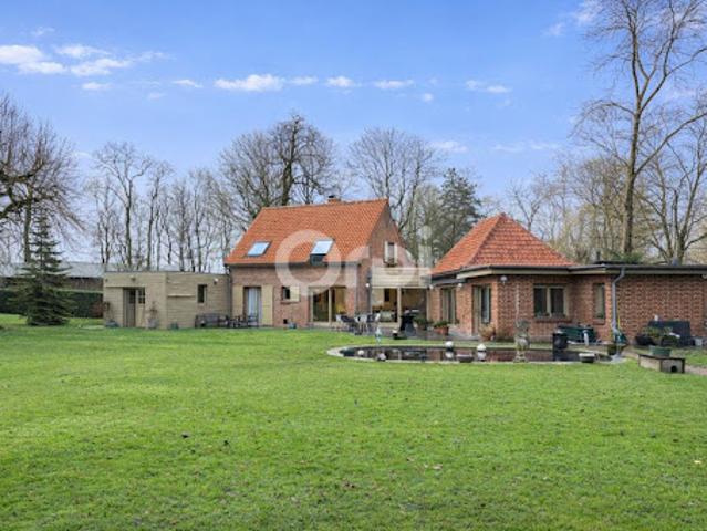 Maison vente à Lille, Cysoing