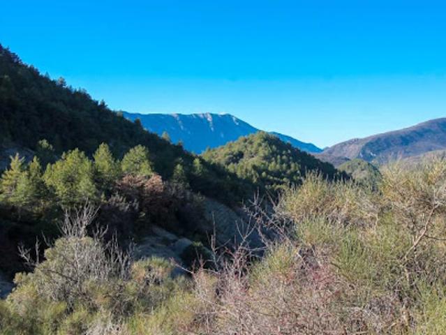 Maison vente à Montbrun-les-bains, Guadeloupe