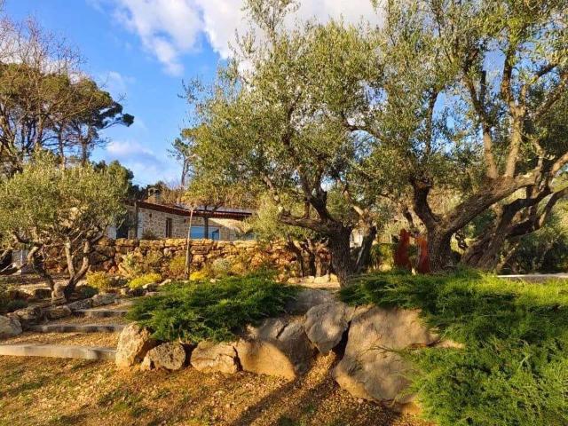 Maison vente à Arrondissement de Draguignan, Lorgues