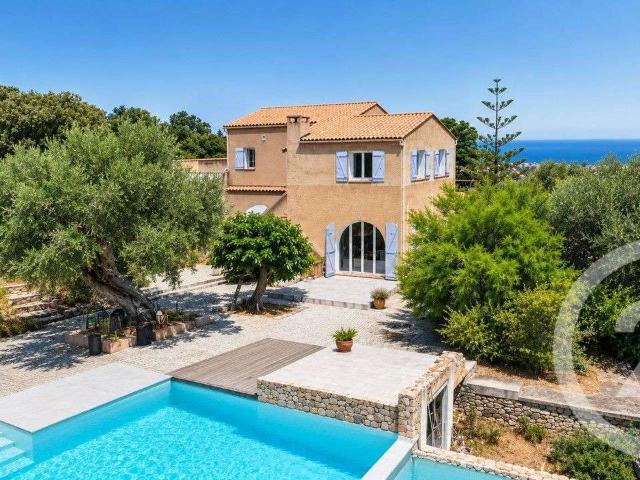 Maison vente à Calvi, Palasca