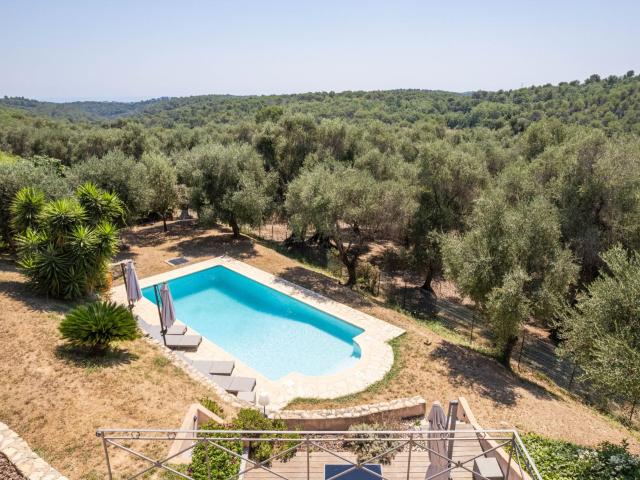 Maison vente à Grasse, Valbonne