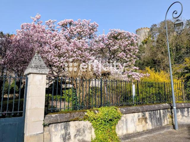 Maison vente à Le Parc, Cinq-Mars-la-Pile