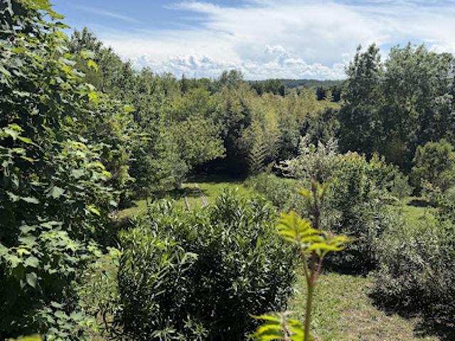 Maison vente à Carcassonne, Labastide-d'anjou