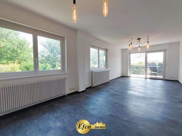 Maison vente à Mulhouse, Kembs
