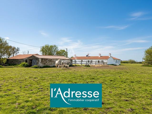 Maison vente à Les Sables-d'Olonne, Sallertaine