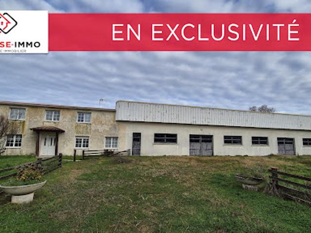 Maison vente à Fontenay-le-Comte, Grues