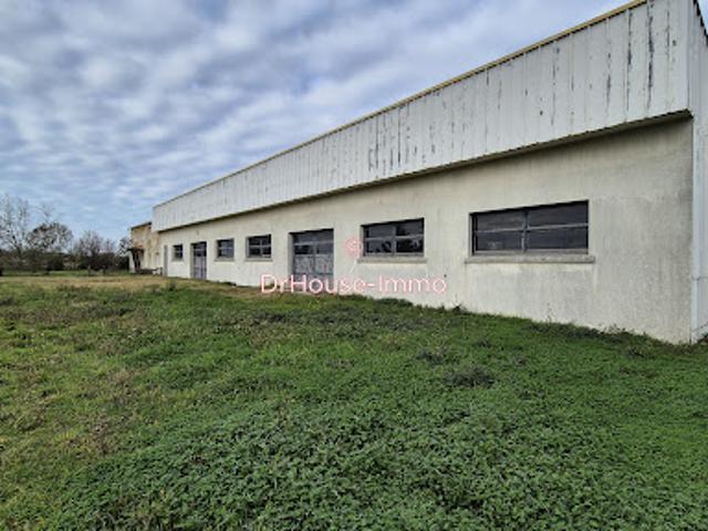Maison vente à Fontenay-le-Comte, Grues