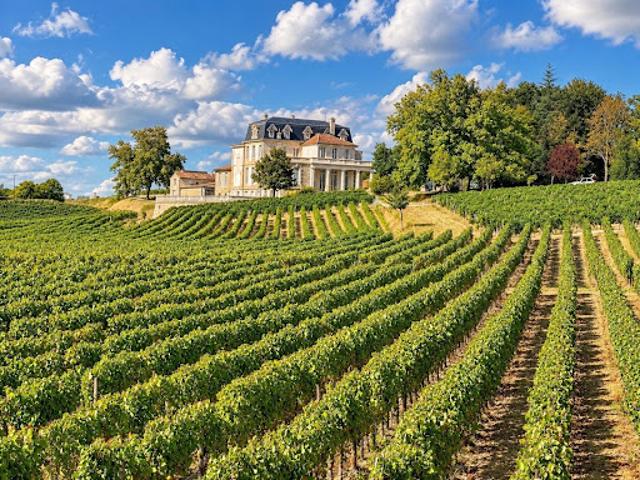 Maison vente à Fronsac, Gironde