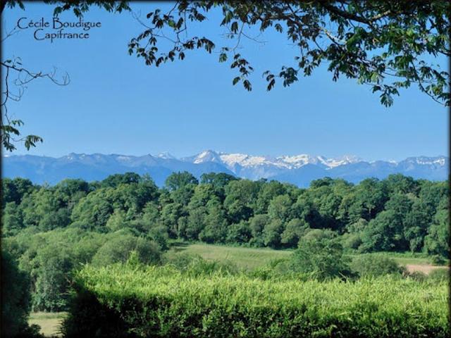 Maison vente à Pau, Eslourenties-daban