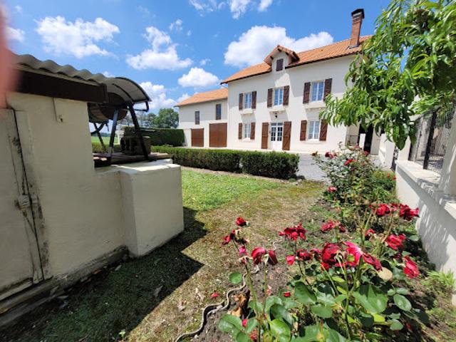 Maison vente à Pau, Vignes