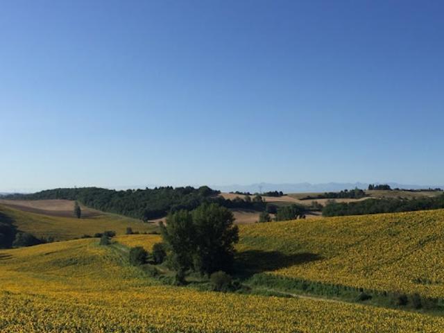 Maison vente à Samatan, Gers