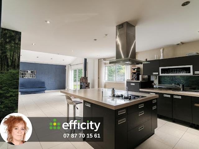 Maison vente à Saint-romain-de-jalionas, Isère