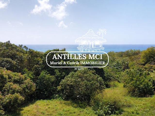 Villa vente à Martinique