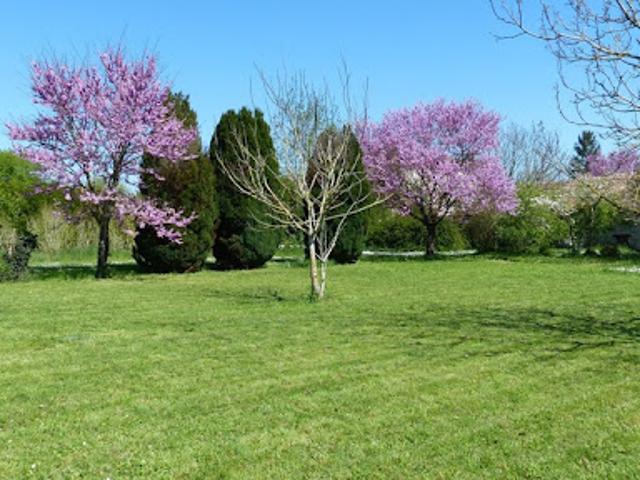 Maison vente à Courcôme