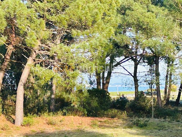 Maison vente à France métropolitaine, Le Verdon-sur-mer