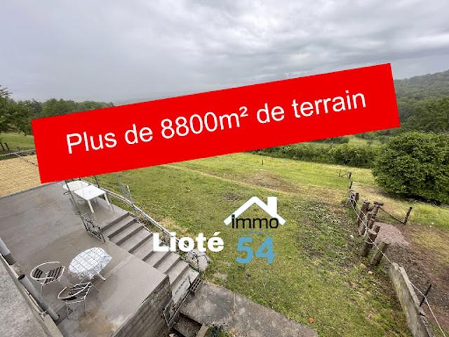 Maison vente à Épinal, Vincey