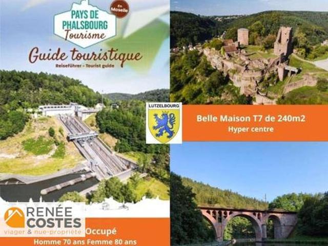 Maison vente à Sarrebourg-Château-Salins, Lutzelbourg
