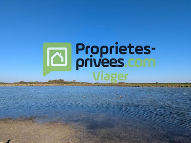 Maison vente à France métropolitaine, Bourcefranc-le-chapus