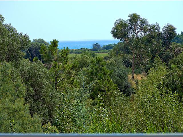 Maison vente à Corte, Solaro