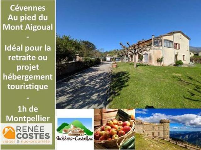 Maison vente à Le Vigan, Avèze