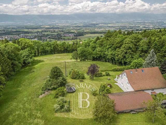 Maison vente à Saint-Julien-en-Genevois, Auvergne-Rhône-Alpes