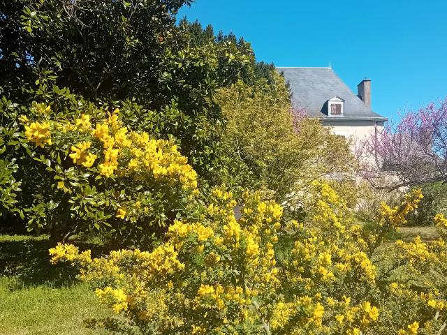 Maison vente à Poitiers, Cheneché