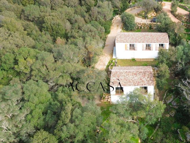 Maison vente à Sartène, Figari