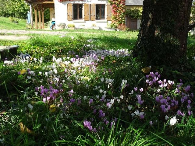Maison vente à Le Mans, La Bazoge